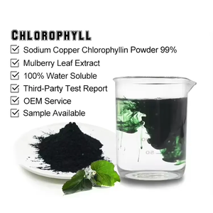 Venta caliente Clorofila orgánica natural 99% Polvo de clorofilina de cobre y sodio puro - Product Image 2