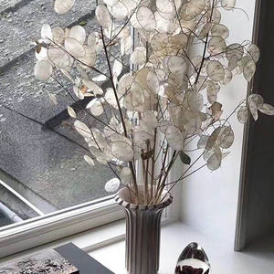 Vente en gros d'usine, bouquet préservé, véritable <span class=keywords><strong>lunaria</strong></span> <span class=keywords><strong>annua</strong></span> naturel, pour la décoration florale, cadeau de luxe - Product Image 2