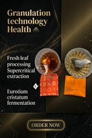 Thé minceur au ginseng naturel en vrac, mélange frais en sachets, thé noir de haute qualité pour la santé et le bien-être