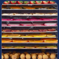 20 Plateaux Commercial Alimentaire Fruits Légumes Machine De Séchage Déshydrateur Fournisseur En Acier Inoxydable Électrique OEM Four D'usine À Vendre
