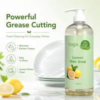 Savon à vaisselle liquide écologique biologique sans paraben, nettoyant multi-usages pour la vaisselle, la cuisine et la salle de bain, Gleditsia Sinensis, citron