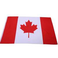 Drapeaux nationaux personnalisés en gros, durables, 100 % polyester, impression numérique, mât en aluminium pour événements sportifs et festivals