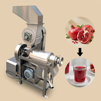 Granaatappelsapmachine, zware slowjuicer met crushfunctie, industriële sinaasappelpers, koude pers sapcentrifuge
