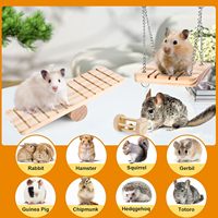 Jouets à mâcher naturels pour lapins OEM : bâtonnets de bois de pomme et herbe pour lapins, cochons d'Inde, hamsters et chinchillas – Jouets à mâcher et friandises