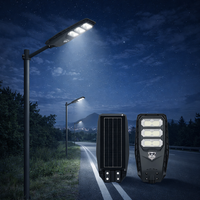 Lampadaire Solaire LED SMD Intégré Tout-en-un 300W à Prix de Gros Chine, Étanchéité IP65, Batterie LiFePO4 pour Usage Paysager et Routier