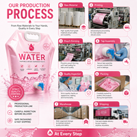 Sachet Doypack 2L 3L avec bec verseur pour lessive, impression en héliogravure