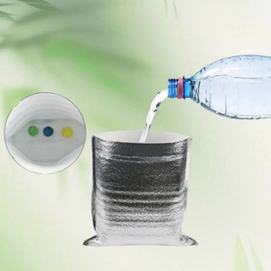 Bolsas Térmicas para Alimentos con Logotipo Personalizado, Embalaje para Alimentos, Bolsa Aislante para Envío en Frío o Caliente - Product Image 5