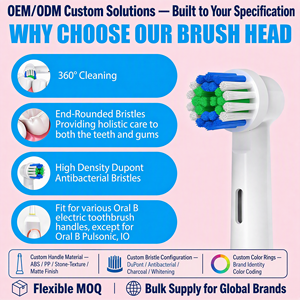 Têtes de rechange personnalisées pour brosses à dents compatibles <span class=keywords><strong>Oral</strong></span>-<span class=keywords><strong>B</strong></span>, poils moyens, 94 % des extrémités arrondies, indicateur de décoloration, usine OEM ODM - Product Image 4
