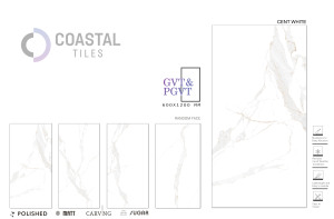 CENT WHITE Carreaux de sol classiques modernes en porcelaine 600x1200mm AAA + Grade - Product Image 2