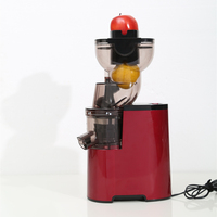 Hoge Kwaliteit Koude Pers Verticale Langzaam Fruit Juicer 300Ml Voor Thuisgebruik Eenvoudig Schoon Langzaam Makende Juicer