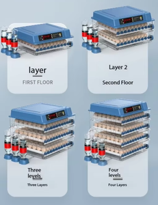 12 12 grandi Wonegg pollo 24 pollame d'anatra 6 uova automatico 9 incubatore di uova per incubatrice di uova - Product Image 6