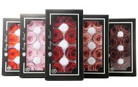 Boîte Cadeau Rose Éternelle Haut de Gamme 4-5cm Grade B pour la Saint-Valentin, Noël, le Nouvel An, Mariages – Cadeau de Mariage ou du Nouvel An