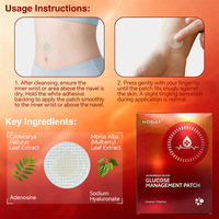 Échantillon Gratuit Disponible : Patch de Gestion du Glucose à Micro-aiguilles Solubles OEM – Patch de Soin à Haute Absorption pour Usage Quotidien