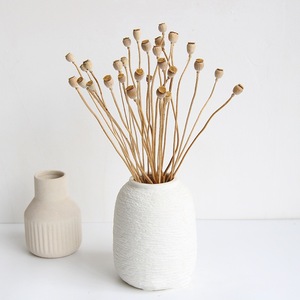 Flores Eternas de Amapola Roja con Semillas, Amapola de Campo Seca y Teñida, Plantas para Diseño Floral, Ramos, Arte y Decoración - Product Image 3