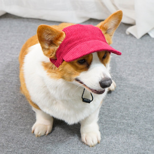 Chongtapet Gorra de béisbol para perros, sombrero de verano para Corgi, Teddy, Golden Retriever, sombrero de protección solar para mascotas, estilo monocromático - Product Image 4