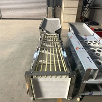 Hoog rendement automatische fruit sorteermachine roller sorteerder voor fruit & groente maatselectie