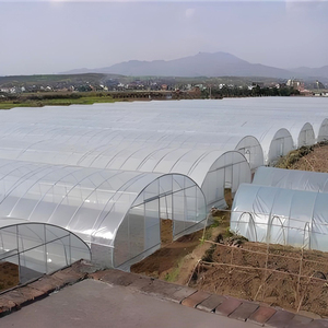 Invernadero de Túnel de Tela, Conjunto Completo, Invernaderos Agrícolas, Cultivadores, Sistema Hidropónico - Product Image 3