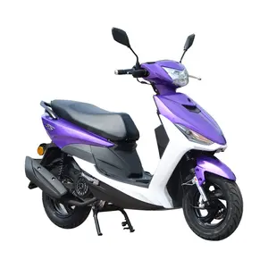 50CC/110CC/125CC 4 冲程迷你摩托车燃气摩托车批准汽油