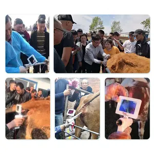 Ai Gun Artificial Insemination For Goat