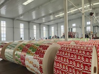 Cajas de Cartón para Jugos/Leche, Embalaje de Cartón de Alta Calidad para Llenar Cajas de Jugos