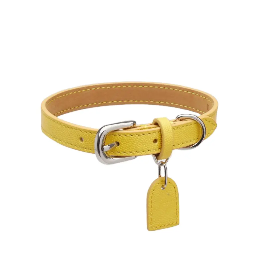 Luxus PU Leder Haustier Halsband Namensschild Benutzer definierte Farben Wasserdicht Classic Pet Leder Hunde halsband Leine Haustier