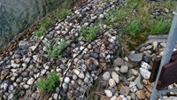 Sac en filet tubulaire en HDPE recyclable, gabion avec service de découpe, marque OEM, taille personnalisée acceptée pour le renforcement des berges