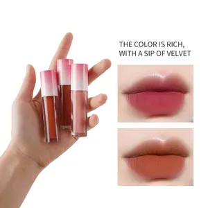 Makeup Vegan Long Lasting Waterproof High Shine Long Lasting Plumper Private Label Brown Korean Makeup Lip Gloss