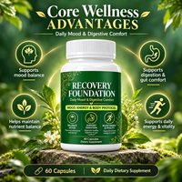 Capsules de soutien digestif de haute qualité : Vitamine B12, Bisglycinate de Magnésium, Citrate de Zinc, L-Théanine pour la mémoire et le sommeil (60 gélules)