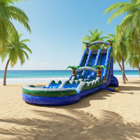 WINSUN Toboggan aquatique gonflable commercial Toboggans aquatiques gonflables d'extérieur Vente en gros de toboggan gonflable avec piscine pour enfants et adultes