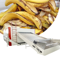 Commerciële fruitdroogmachine, bananenschilbanddroogapparatuur, bananenschilbanddroger, bananenschil, bananenschilgaasbanddroger