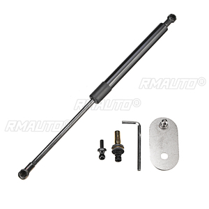 Barres de soutien hydrauliques pour hayon arrière DZ43200 pour Ford F150 2004 2005 2006 2007 2008 2009 - 2014 - Product Image 2