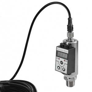สวิตช์สแตนเลส PS300 OEM สำหรับปั๊มน้ำ 220V AC/24V 100MPa IP65 4-20mA/RS485 - Product Image 6