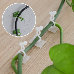 Soporte para plantas de pothos sin marcas para uso doméstico, sin clavos, para colgar en la pared, estéticamente agradable, con almacenamiento, ganchos autoadhesivos para - Product Image 2