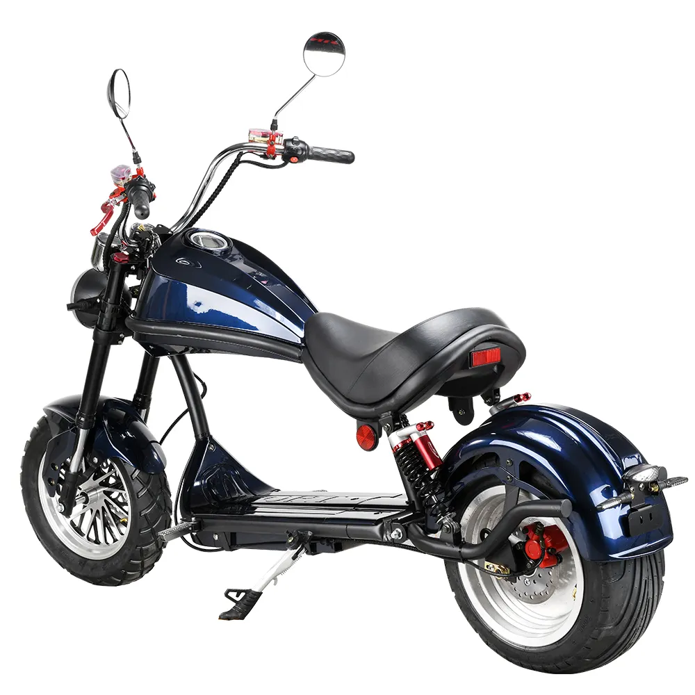 Holland Warehouse New EEC/COC Citycoco 3000W Homologation Electric Scooter with Removable Lithium Battery