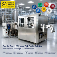 Solution de marquage laser UV automatisée pour les bouchons de bouteilles : alimentation en cascade, impression de codes QR et vérification par CCD