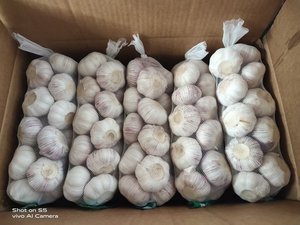 Alho Branco Natural Fresco da China Jin Xiang com 12 Meses de Validade para Uso em Temperos e Exportação Global - Product Image 5