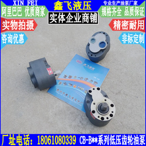 Bomba de Engranajes de Pistón Usada CB-B25TH B32TH B40TH B50TH B63TH B80TH B100TH B125TH - Product Image 1