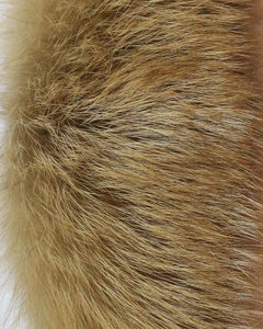 OFTBUY 2023 Legal das Mulheres Natural Casaco De Pele De Raposa Bat Casaco De Ponto Aberto Blends De Lã De Cashmere Casaco De Manto De Lã De Pele Real - Product Image 6