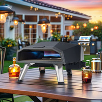 Four à pizza intérieur extérieur de 16 pouces à gaz chauffage rapide BBQ rotatif 8 kW four facile à nettoyer four à pizza charbon de bois et barbecue à gaz