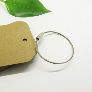 Anneau porte-clés en câble métallique en acier inoxydable EWANG Silver 120MM avec verrouillage à vis - Product Image 5