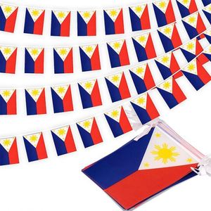 Philippines Filipino Polyester String Flag Bunting Decoration Pennant <b>Banner</b> for Outdoor and Indoor National Country Decor - Product Image 4
