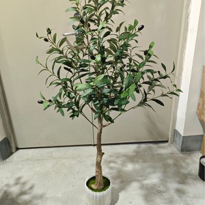 Bonsaï d'olivier détachable de 0,9 m à 2,4 m en pot en plastique, décoration de jardin et de maison, fausse verdure, arbres artificiels pour la remise des diplômes, plante artificielle - Product Image 5