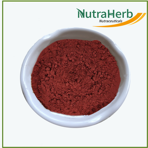 Extracto de tomate puro licopeno natural en polvo extracto de licopeno - Product Image 3