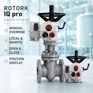 Proveedor de Actuadores Inteligentes IQ3 para Plantas de Tratamiento de Agua y Tuberías de Gas y Petróleo - Product Image 1