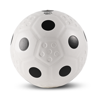 GOLTY KL-1004 Taille 4 Ballon de Kickball Personnalisé OEM Intérieur/Extérieur Durable Imperméable pour Entraînement Ballon de Kickball en Gros