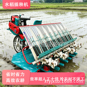 Transplanteur de riz 8 rangs, moteur diesel, haute productivité, équipement agricole pour la plantation de riz - Product Image 4