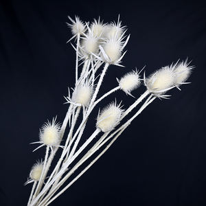 Eryngbras — 15 Branches de couleurs plastique, vente en gros, 15 têtes différentes, couleur blanche et noire - Product Image 4