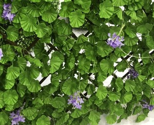 Clôture en saule pliable avec mur d'herbe et de feuilles <span class=keywords><strong>vert</strong></span> <span class=keywords><strong>clair</strong></span> à LED, cadre pliable en bois artificiel - Product Image 6