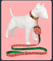 Schattige geprinte hondenhalsband, riem en poepzakjeshouder set, fruit- en hartjespatroon, hondenuitlaatset voor kleine en middelgrote honden en katten