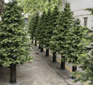 Feuilles de <span class=keywords><strong>sapin</strong></span> artificielles sur mesure de grande taille pour la décoration paysagère, fabrication sur mesure de divers arbres de grande taille, vente en gros par le fabricant - Product Image 4